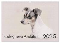 Bodeguero Andaluz 2025 (Wandkalender 2025 DIN A3 quer), CALVENDO Monatskalender