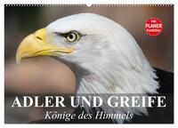 Adler und Greife. Könige des Himmels (Wandkalender 2025 DIN A2 quer), CALVENDO Monatskalender