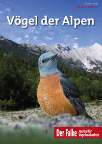 Vögel der Alpen