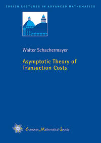 Asymptotic Theory of Transaction Costs