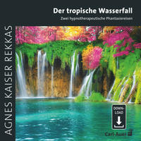 Der tropische Wasserfall