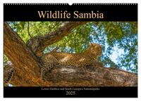 Wildlife Sambia (Wandkalender 2025 DIN A2 quer), CALVENDO Monatskalender