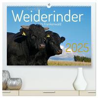 Weiderinder im Frankenwald (hochwertiger Premium Wandkalender 2025 DIN A2 quer), Kunstdruck in Hochglanz