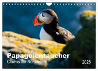 PAPAGEIENTAUCHER - Clowns der Nordmeere (Wandkalender 2025 DIN A4 quer), CALVENDO Monatskalender