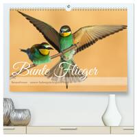 Bunte Flieger (hochwertiger Premium Wandkalender 2025 DIN A2 quer), Kunstdruck in Hochglanz