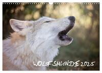 Wolfshunde 2025 (Wandkalender 2025 DIN A3 quer), CALVENDO Monatskalender