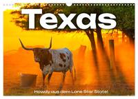 Texas - Howdy aus dem Lone Star State! (Wandkalender 2025 DIN A3 quer), CALVENDO Monatskalender