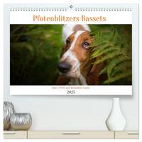 Der Basset, eine LANGE und besondere Liebe (hochwertiger Premium Wandkalender 2025 DIN A2 quer), Kunstdruck in Hochglanz