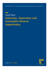 Extension, Separation and Isomorphic Reverse Isoperimetry