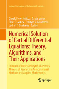 Numerical Solution of Partial Differential Equations: Theory, Algorithms, and Their Applications