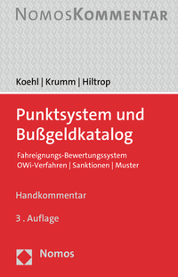 Punktsystem und Bußgeldkatalog