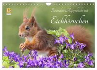 Besondere Augenblicke mit Eichhörnchen (Wandkalender 2025 DIN A4 quer), CALVENDO Monatskalender