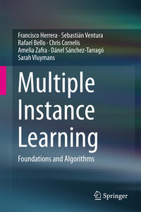 Multiple Instance Learning