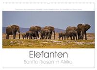 Elefanten - Sanfte Riesen in Afrika (Wandkalender 2025 DIN A2 quer), CALVENDO Monatskalender