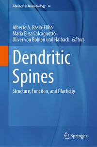 Dendritic Spines