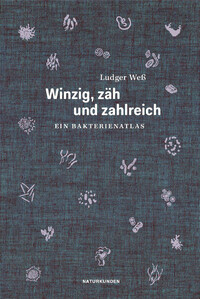 Winzig, zäh und zahlreich