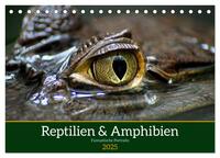 Reptilien & Amphibien Portraits (Tischkalender 2025 DIN A5 quer), CALVENDO Monatskalender