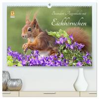 Besondere Augenblicke mit Eichhörnchen (hochwertiger Premium Wandkalender 2025 DIN A2 quer), Kunstdruck in Hochglanz