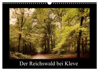 Der Reichswald bei Kleve (Wandkalender 2025 DIN A3 quer), CALVENDO Monatskalender