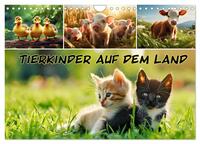 Tierkinder auf dem Land (Wandkalender 2025 DIN A4 quer), CALVENDO Monatskalender