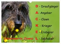 Liebenswerte Clowns (Wandkalender 2025 DIN A3 quer), CALVENDO Monatskalender