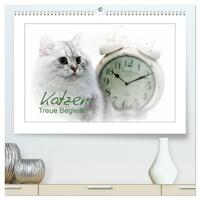 Katzen – Treue Begleiter (CH - Version) (hochwertiger Premium Wandkalender 2025 DIN A2 quer), Kunstdruck in Hochglanz