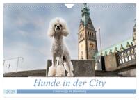 Hunde in der City - Unterwegs in Hamburg (Wandkalender 2025 DIN A4 quer), CALVENDO Monatskalender