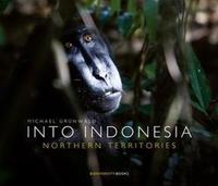 Into Indonesia