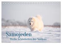 Samojeden - Liebenswerte Fellkugeln (Tischkalender 2025 DIN A5 quer), CALVENDO Monatskalender