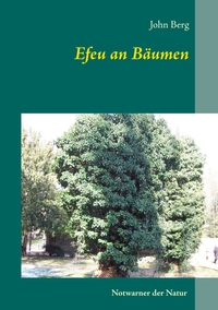 Efeu an Bäumen