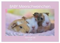 BABY Meerschweinchen Traumhaft süß (Wandkalender 2025 DIN A2 quer), CALVENDO Monatskalender