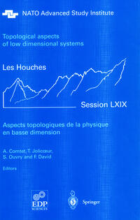 Aspects topologiques de la physique en basse dimension. Topological aspects of low dimensional systems