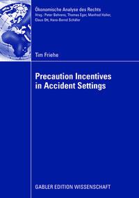 Precaution Incentives in Accident Settings