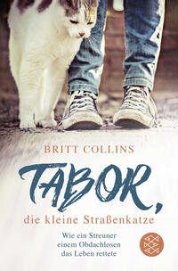 Tabor, die kleine Straßenkatze