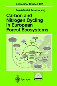 Carbon and Nitrogen Cycling in European Forest Ecosystems