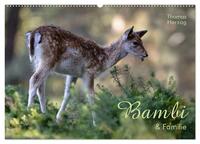 BAMBI & Familie (Wandkalender 2025 DIN A2 quer), CALVENDO Monatskalender