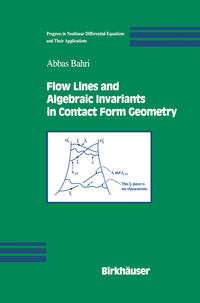 Flow Lines and Algebraic Invariants in Contact Form Geometry