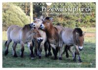 Przewalskipferde (Wandkalender 2025 DIN A4 quer), CALVENDO Monatskalender