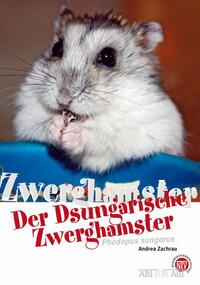 Der Dsungarische Zwerghamster