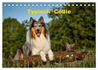 Typisch Collie (Tischkalender 2025 DIN A5 quer), CALVENDO Monatskalender