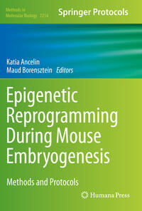 Epigenetic Reprogramming During Mouse Embryogenesis