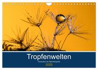 Tropfenwelten; Faszination der Makrofotografie (Wandkalender 2025 DIN A4 quer), CALVENDO Monatskalender