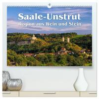 Saale-Unstrut - Region aus Wein und Stein (hochwertiger Premium Wandkalender 2025 DIN A2 quer), Kunstdruck in Hochglanz