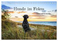 Hunde im Fokus (Tischkalender 2025 DIN A5 quer), CALVENDO Monatskalender