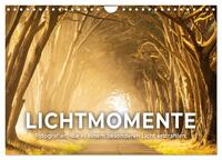 Lichtmomente - Fotografien, die in einem besonderen Licht erstrahlen. (Wandkalender 2025 DIN A4 quer), CALVENDO Monatskalender