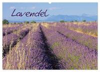 Lavendel (Wandkalender 2025 DIN A2 quer), CALVENDO Monatskalender