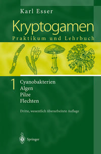 Kryptogamen 1