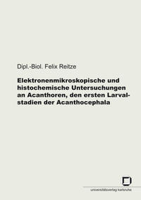 Elektronenmikroskopische und histochemische Untersuchungen an Acanthoren, den ersten Larvalstadien der Acanthocephala