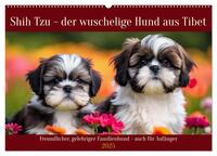 Shih Tzu - der wuschelige Hund aus Tibet (Wandkalender 2025 DIN A2 quer), CALVENDO Monatskalender