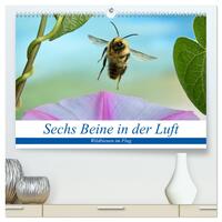 Sechs Beine in der Luft - Wildbienen im Flug (hochwertiger Premium Wandkalender 2025 DIN A2 quer), Kunstdruck in Hochglanz